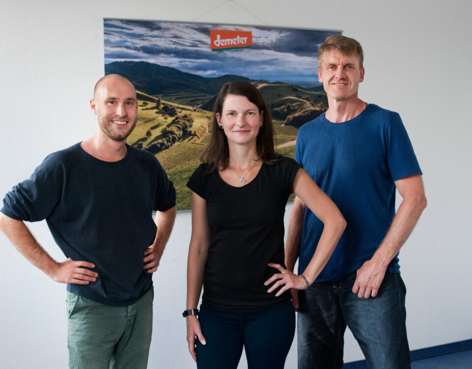 Virtualisierung, WLAN-Lösungen, VPN-Standort-Vernetzung, Telefonie, Cloud-Speicher, Monitoring, Managed Firewall, Managed Anti-Virus